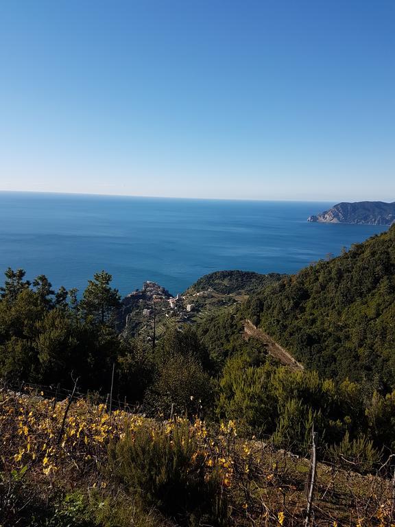 Affittacamere Il Timone Corniglia Exterior foto